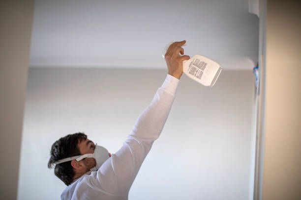 Best Residential Mold Removal  in Levelland, TX