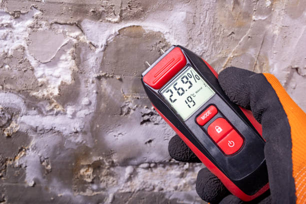 Best Mold Testing  in Levelland, TX