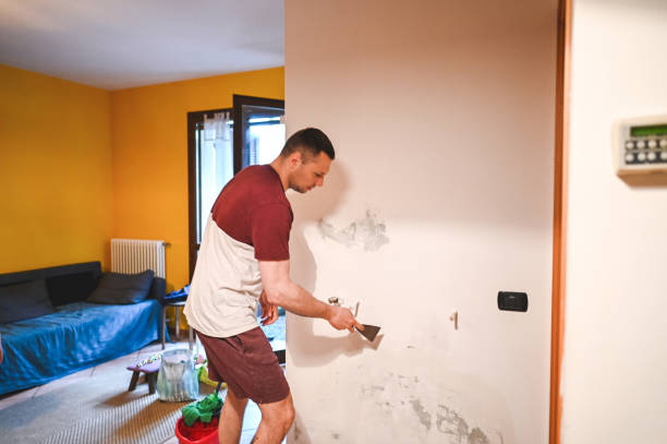 Attic Mold Removal in Levelland, TX
